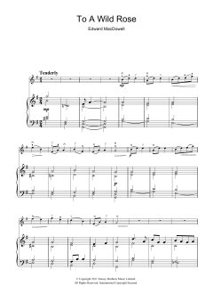 To A Wild Rose von Edward MacDowell (Download) 