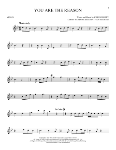 You Are The Reason von Calum Scott (Download) 