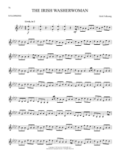 The Irish Washerwoman von Irish Folksong (Download) 