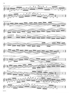 Foundation Studies von David Hite 