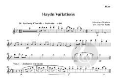 Haydn Variations von Johannes Brahms (Download) 
