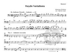 Haydn Variations von Johannes Brahms (Download) 