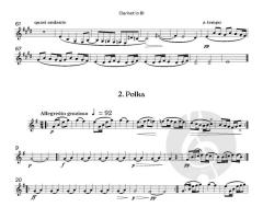 Czech Suite von Antonín Dvořák (Download) 