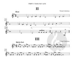 Blues Band: Easy Flexible Ensemble von Terry Cathrine (Download) 