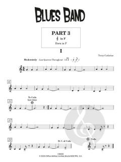 Blues Band: Easy Flexible Ensemble von Terry Cathrine (Download) 
