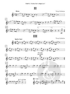 Blues Band: Easy Flexible Ensemble von Terry Cathrine (Download) 