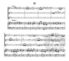 Concerto di Flauti von Alessandro Marcello (Download) 