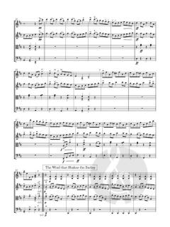 Reel Fiddlin' (Download) 