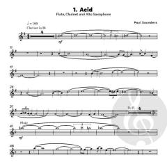 So You Want To Play In Shows? von Paul Saunders (Download) 