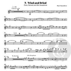 So You Want To Play In Shows? von Paul Saunders (Download) 