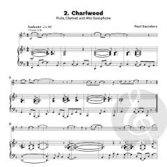 So You Want To Play In Shows? von Paul Saunders (Download) 