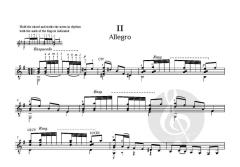 Sonata in E minor for Solo Guitar von Antonio Vivaldi (Download) 