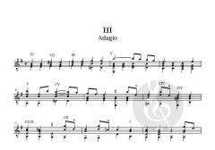 Sonata in E minor for Solo Guitar von Antonio Vivaldi (Download) 