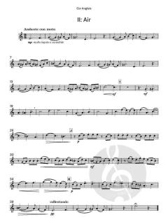 Partita von Nicholas Sims-Williams (Download) 