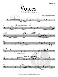 Voices von Nicholas Sims-Williams (Download) 