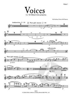 Voices von Nicholas Sims-Williams (Download) 
