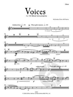 Voices von Nicholas Sims-Williams (Download) 