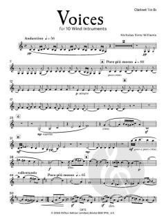 Voices von Nicholas Sims-Williams (Download) 