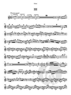 Oboe Concerto in C (Rtt 32) von Carl Ditters von Dittersdorf (Download) 