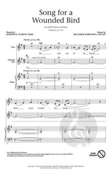 Song for a Wounded Bird von Heather Sorenson 