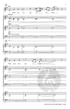 Song for a Wounded Bird von Heather Sorenson 