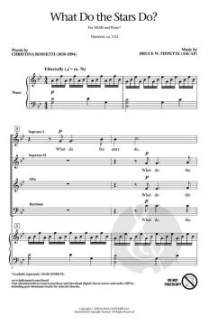 What Do the Stars Do? von Bruce W. Tippette 