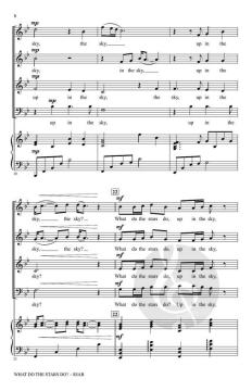 What Do the Stars Do? von Bruce W. Tippette 