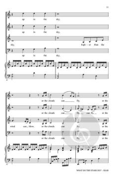 What Do the Stars Do? von Bruce W. Tippette 