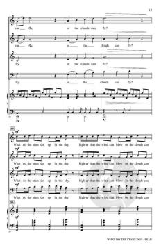 What Do the Stars Do? von Bruce W. Tippette 