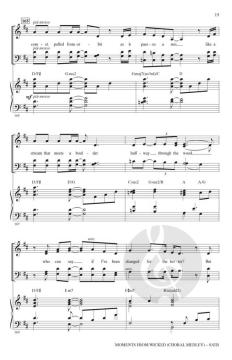 Moments from Wicked von Stephen Schwartz 