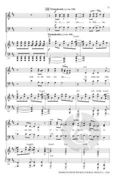 Moments from Wicked von Stephen Schwartz 