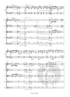 Concerto for Marimba and Strings von Emmanuel Sejourne 