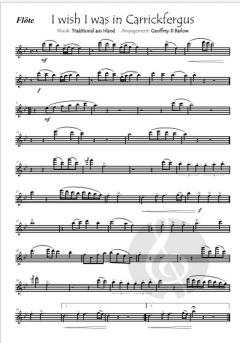 I wish I was in Carrickfergus 