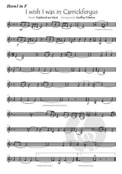 I wish I was in Carrickfergus 