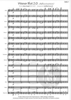 Wiener Blut 2.0. (Ballroomversion)<br> von Johann Strauß 