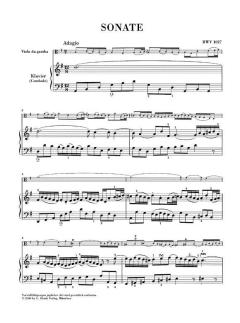 3 Gambensonaten BWV 1027-1029 von Johann Sebastian Bach 