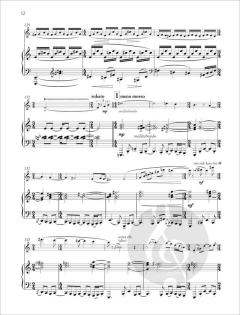 Melousine von Daniel Schnyder 