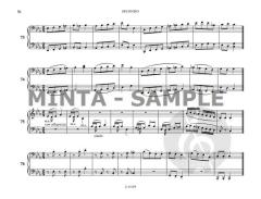 Miss Melody's Wardrobe 1 von Imre Mezo 