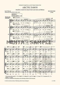 Arctic Dawn von Máté Balogh 