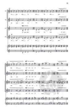 Oculi in astra von Till MacIvor Meyn 