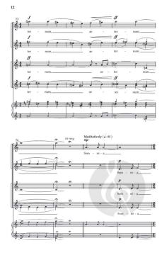 Oculi in astra von Till MacIvor Meyn 