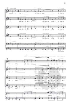 Oculi in astra von Till MacIvor Meyn 