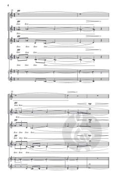 Oculi in astra von Till MacIvor Meyn 