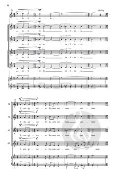 Oculi in astra von Till MacIvor Meyn 