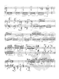 Die Zeit der Steine von Peter Michael Hamel (Download) 