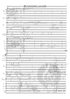 La Metamorfosi di Narciso von Matthias Pintscher (Download) 