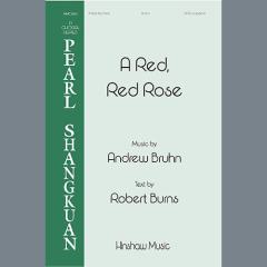 A Red, Red Rose von Andrew Bruhn (Download) 
