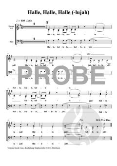 Halle, Halle, Halle(-lujah) von Stephan Zebe (Download) 
