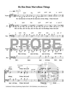 He Has Done Marvellous Things von Stephan Zebe (Download) 