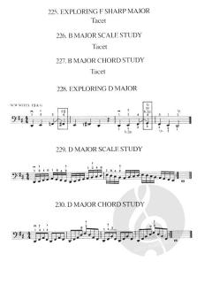 Young Strings in Action Vol. 2 von Paul Rolland 